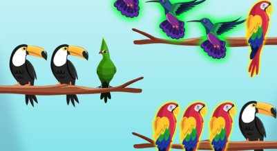 Sfida di Ordinamento degli Uccelli - crazygames,crazy games,free games,h5 game, free play,free crazy games