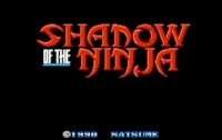 Ombra del Ninja (Stati Uniti) - crazygames,crazy games,free games,h5 game, free play,free crazy games
