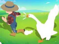 Simulatore di Oca Pazza - crazygames,crazy games,free games,h5 game, free play,free crazy games