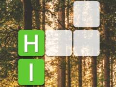 Blocco di Parole - crazygames,crazy games,free games,h5 game, free play,free crazy games