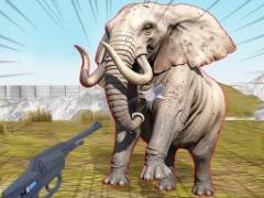 Simulazione di Anomalie nello Zoo - crazygames