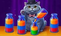 Water Sort - Collezioni - crazygames