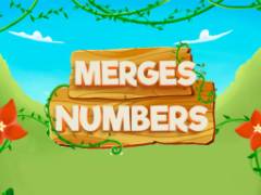 Fonde numeri - crazygames