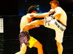 Partita di combattimento UFC Jigsaw - crazygames,crazy games,free games,h5 game, free play,free crazy games