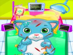ASMR Clinica Veterinaria per Gatti - crazygames
