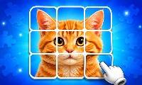 Immagine di Pieces - crazygames